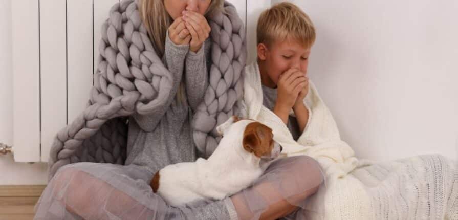 furnace-repair-in-downriver-michigan