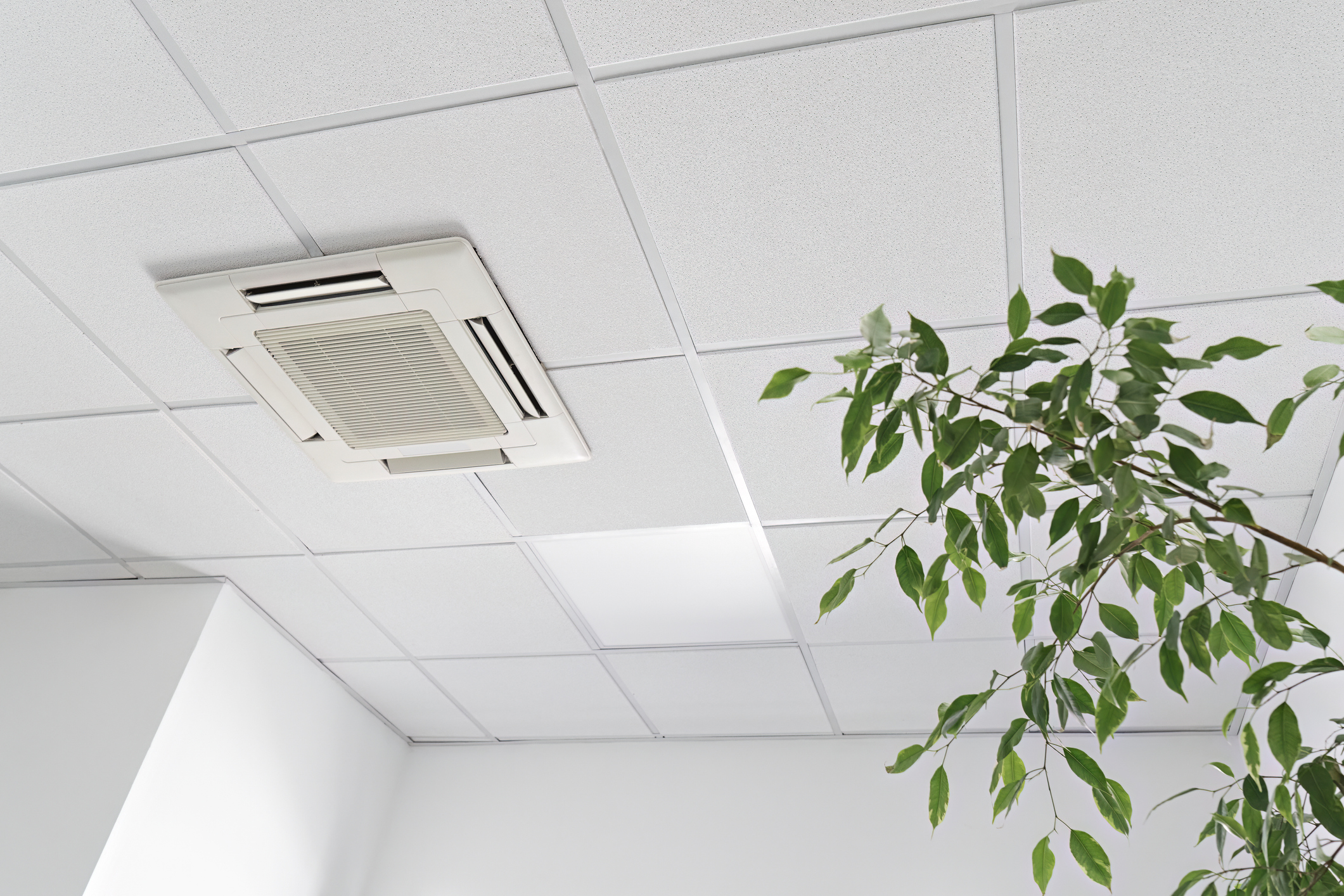 indoor air quality plymouth mi