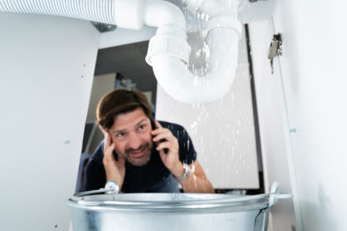 Plumbing Leak Services i Flat Rock, MI